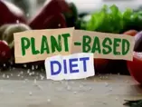 plant based diet landscape.png plant based diet landscape.png