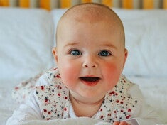 Allergy Academy teaser image