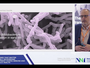 The bifidobacterium transition in early life