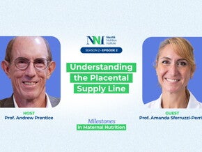 Understanding the Placental Supply Line