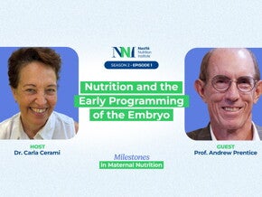 Nutrition and the Early Programming of the Embryo
