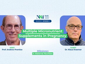 Multiple Micronutrient Supplements in Pregnancy