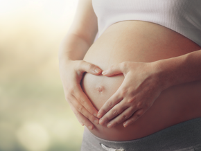 Nutrition in the Periconceptional, Pregnancy and Postpartum Periods