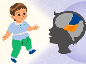 Brain Development in Toddlers: Linking Brain Changes with Emerging Abilities