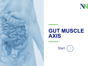 GUT MUSCLE AXIS