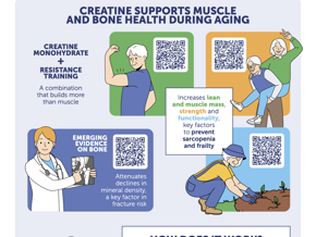 Creatine: New Insights For Muscle, Bone And Brain