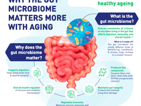 Why the Gut Microbiome Matters More With Aging