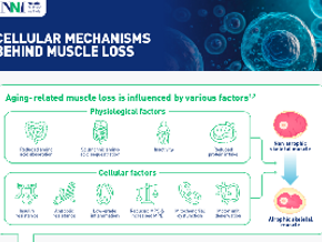 Cellular Mechanisms Behind Muscle Loss