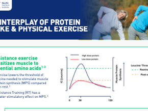 The Interplay of Protein Intake and Physical Exercise