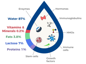 Nutritive components of human breast milk