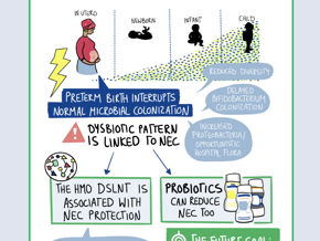 Shaping the Preterm Gut Microbiome in the NICU