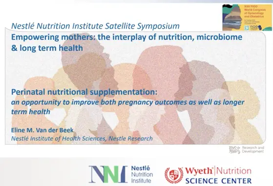 Perinatal Nutritional Supplementation: An Opportunity to Improve Pregnancy & Long-Term Health Outcomes