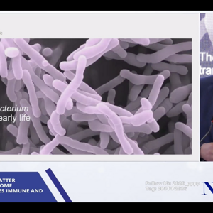 The bifidobacterium transition in early life
