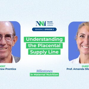 Understanding the Placental Supply Line
