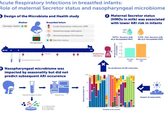 Acute respiratory infections in breastfed infants