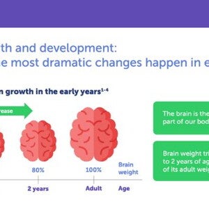 Brain Development and Toddlers’ Diet: Is There a Link?