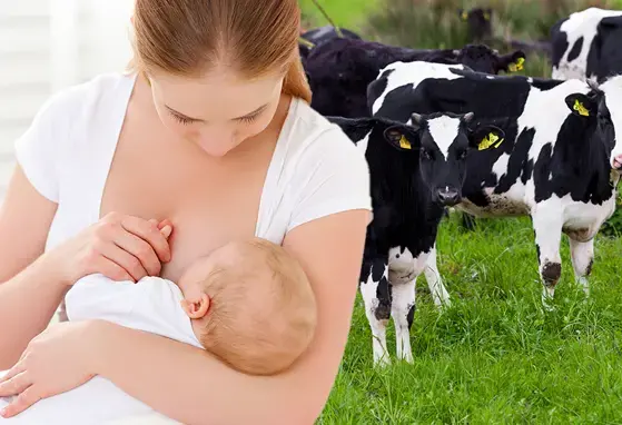 Breastfeeding & Cow Milk Protein Allergy