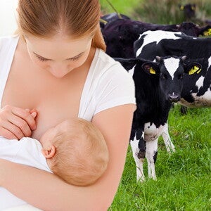 Breastfeeding & Cow Milk Protein Allergy