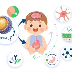 Building the Developing Brain: How MFGM Supports Early Brain Development and Function