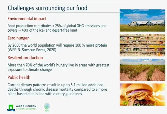 Challenges surrounding our food