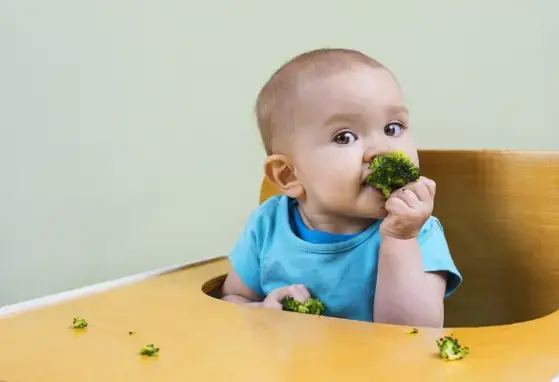 Children more likely to like vegetables Children more likely to like vegetables