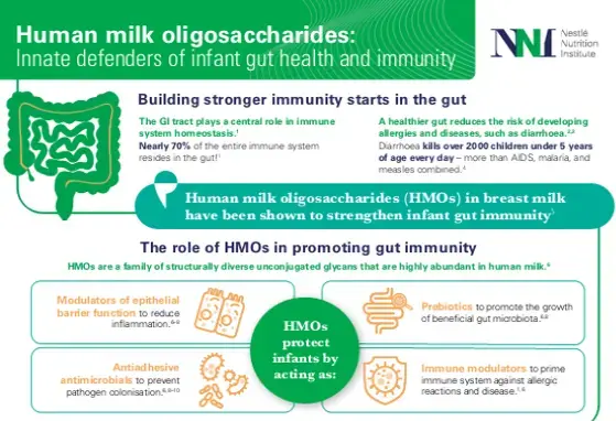 HMO infographic landscape v2.png HMO infographic landscape v2.png