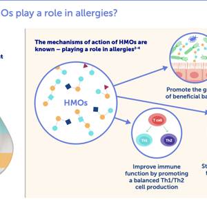 HMOs and Allergy