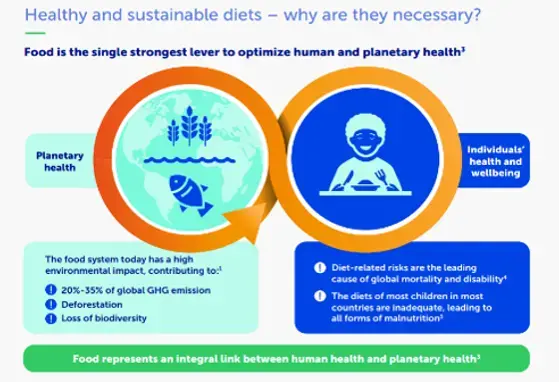 Healthy and sustainable nutrition for children: important considerations