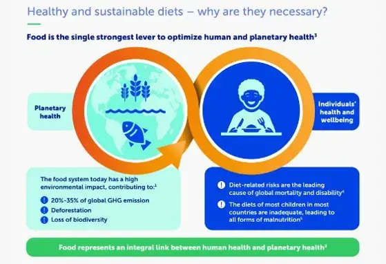 Healthy and sustainable nutrition for children: important considerations