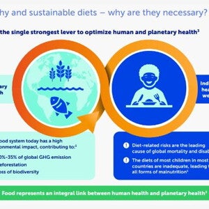 Healthy and sustainable nutrition for children: important considerations