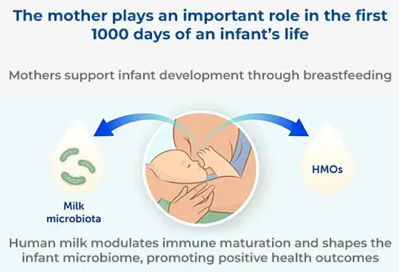 Breastfeeding and Health Benefits for the Mother-Infant Dyad: A Perspective on Human Milk Microbiota Breastfeeding and Health Benefits for the Mother-Infant Dyad: A Perspective on Human Milk Microbiota