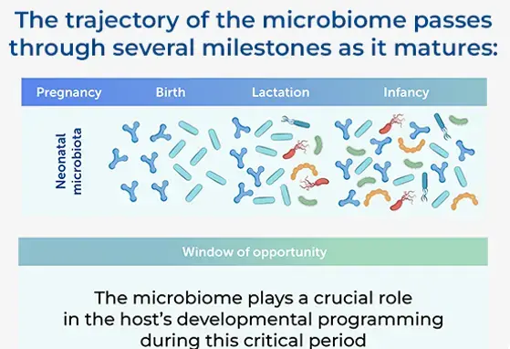 Microbiome Maturation Trajectory and Key Milestones in Early Life Microbiome Maturation Trajectory and Key Milestones in Early Life