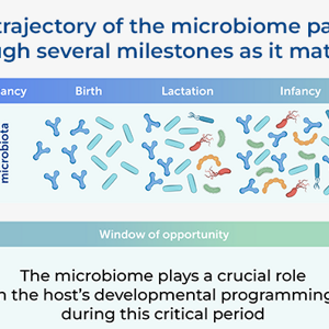 Microbiome Maturation Trajectory and Key Milestones in Early Life