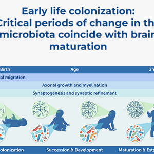 Microbiome and Brain Development: A Tale of Two Systems