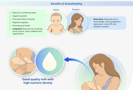 Nutrition for Optimal Lactation