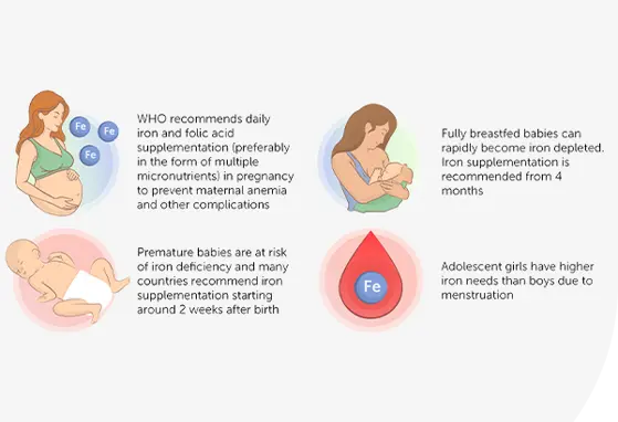 Calcium and Iron Nutrition Through the Reproductive Life Course 