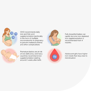 Calcium and Iron Nutrition Through the Reproductive Life Course 