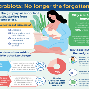 Infographic preview image