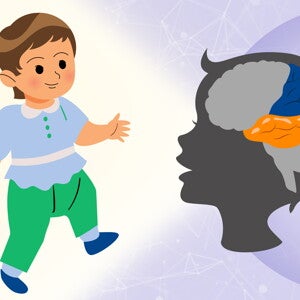 Brain Development in Toddlers: Linking Brain Changes with Emerging Abilities