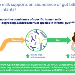 New Research On HMOs: Enhancing Their Benefit