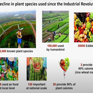 Nutrition - A global opportunity for health
