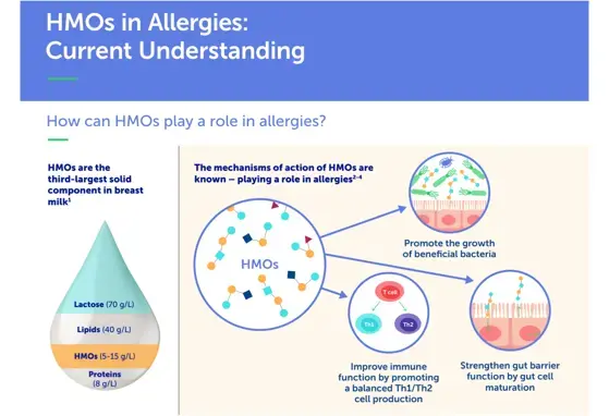 HMOs in Allergies: Current Understanding
