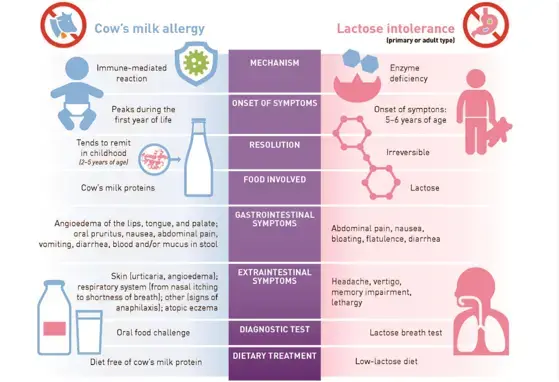 Lactose Intolerance: Common Misunderstandings