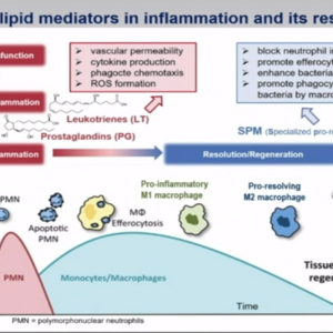 Resolution of inflammation - the Way Out for many Common Disorders