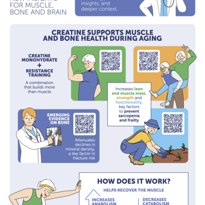 Creatine: New Insights For Muscle, Bone And Brain