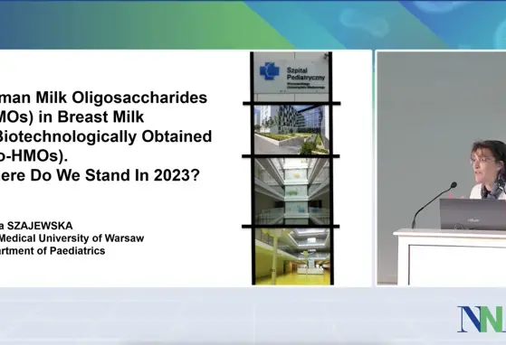 HMOs in Breast Milk and Technologically Obtained HMOs, Where Do We Stand in 2023?