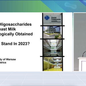HMOs in Breast Milk and Technologically Obtained HMOs, Where Do We Stand in 2023?