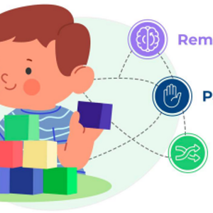 Executive Function in Toddlers