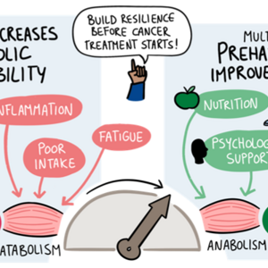  The Prehabilitation Window: Building Metabolic and Immune Resilience