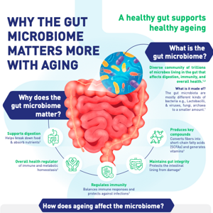 Why the Gut Microbiome Matters More With Aging